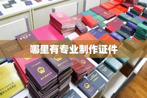 巴林右旗哪里有专业制作证件