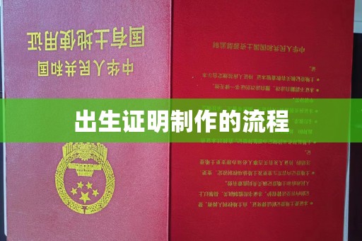 巴林右旗出生证明制作的流程